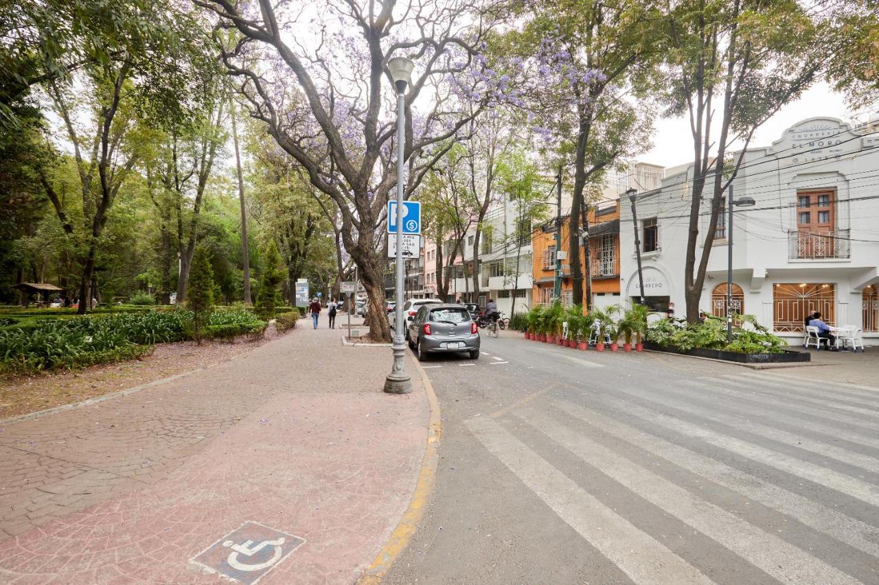 Sonder Casa Tonala Otel Meksika Dış mekan fotoğraf