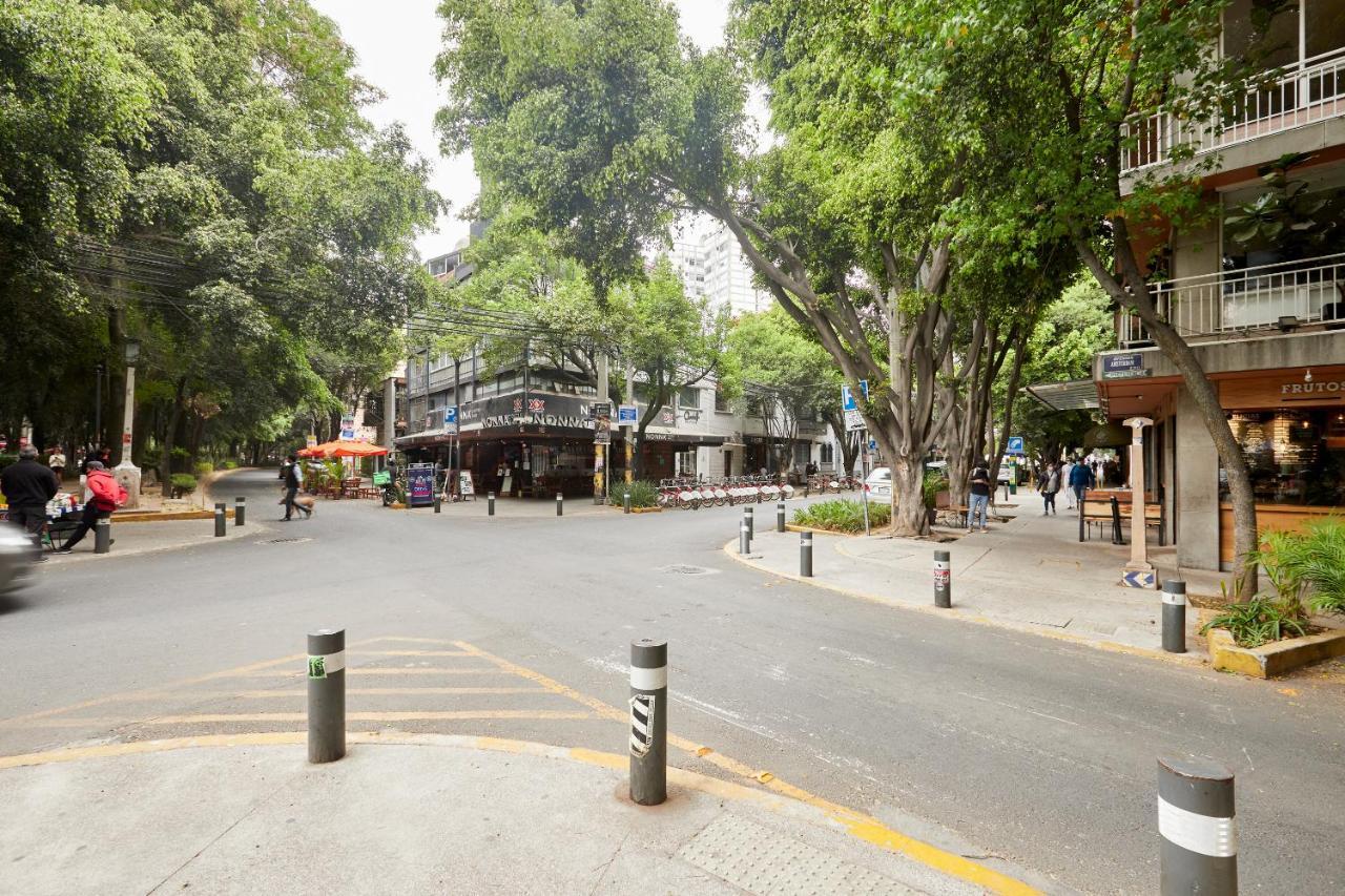 Sonder Casa Tonala Otel Meksika Dış mekan fotoğraf